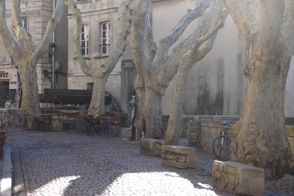 Appartements Des Teinturiers Avignon Eksteriør billede